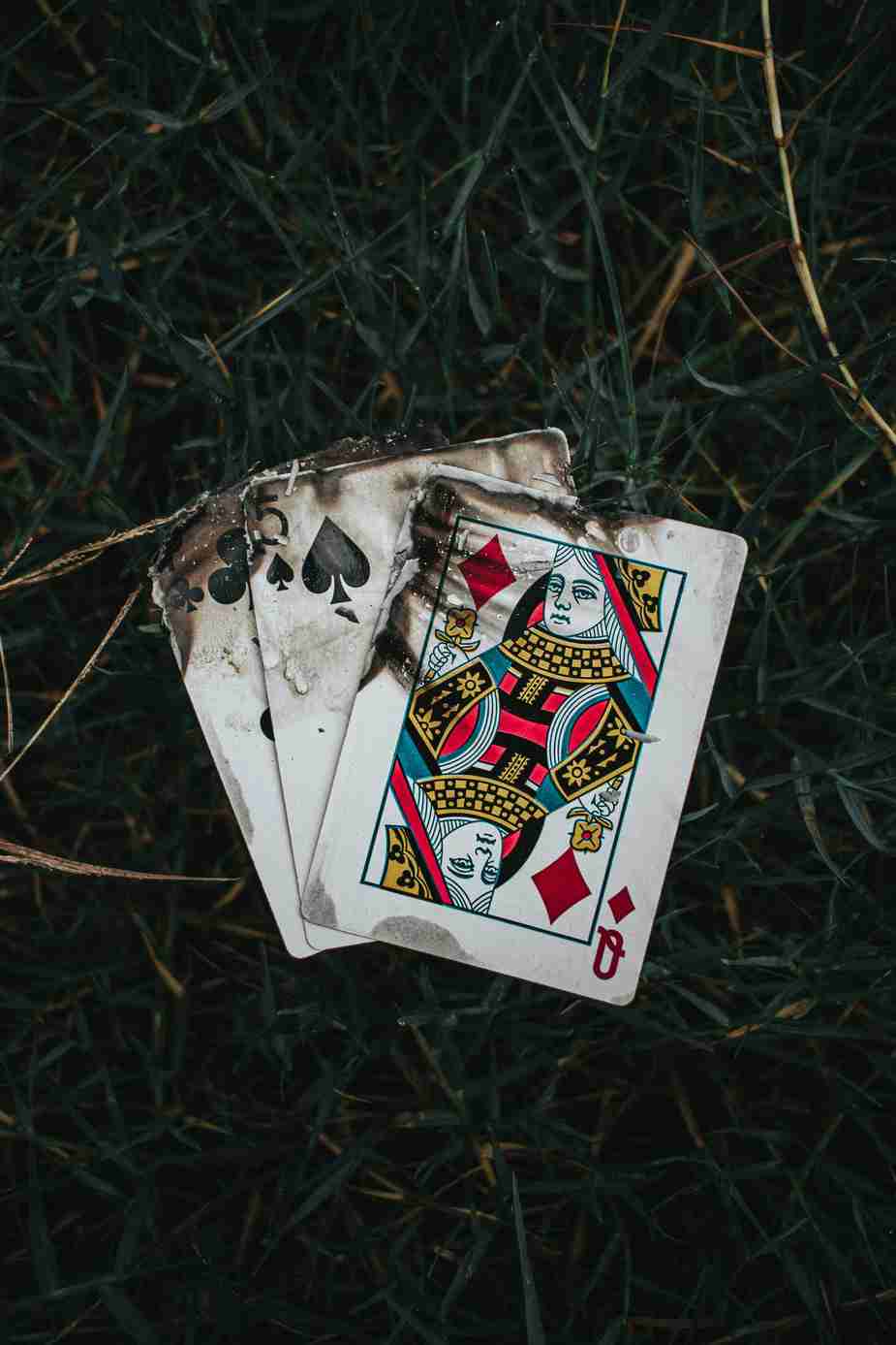 Why Slots Dominate Online Casinos